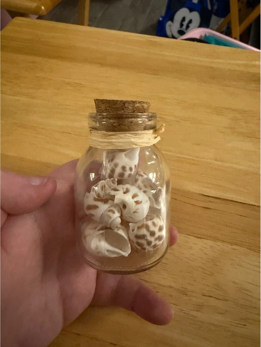 Small Glass Jar Of Shells